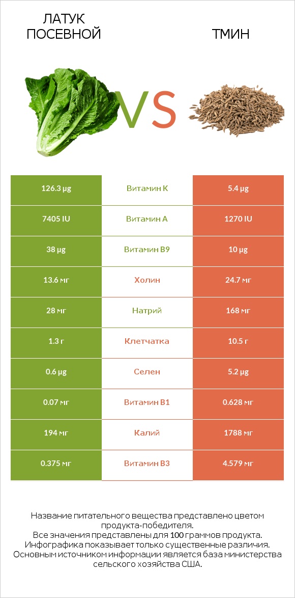 Латук посевной vs Тмин infographic