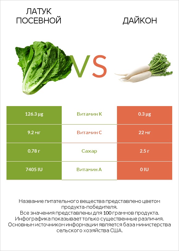 Латук посевной vs Дайкон infographic