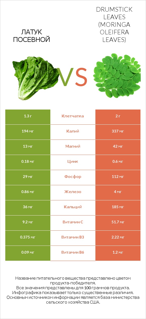 Латук посевной vs Листья моринги infographic