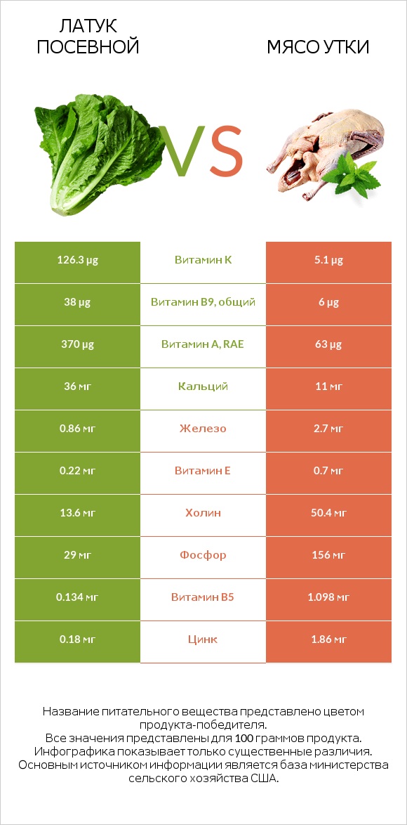 Латук посевной vs Мясо утки infographic