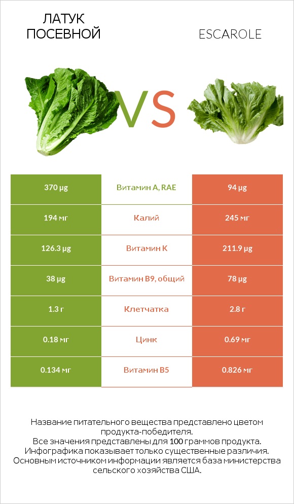 Латук посевной vs Салат Эскарол (эскариоль) infographic