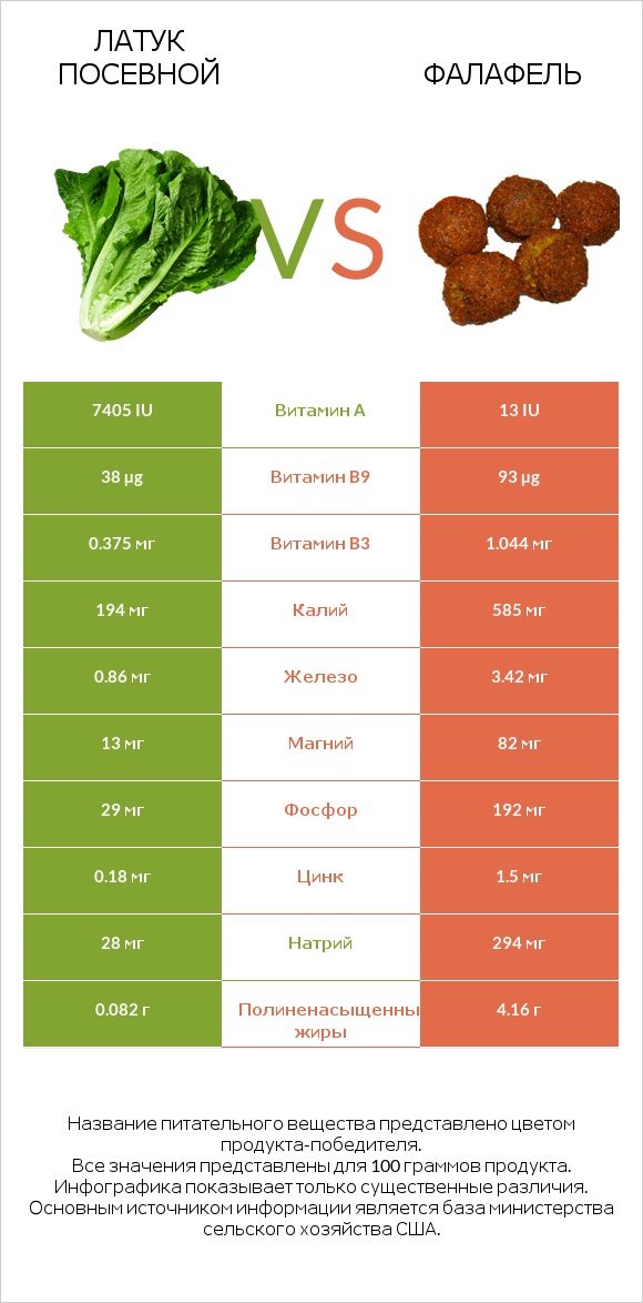 Латук посевной vs Фалафель infographic
