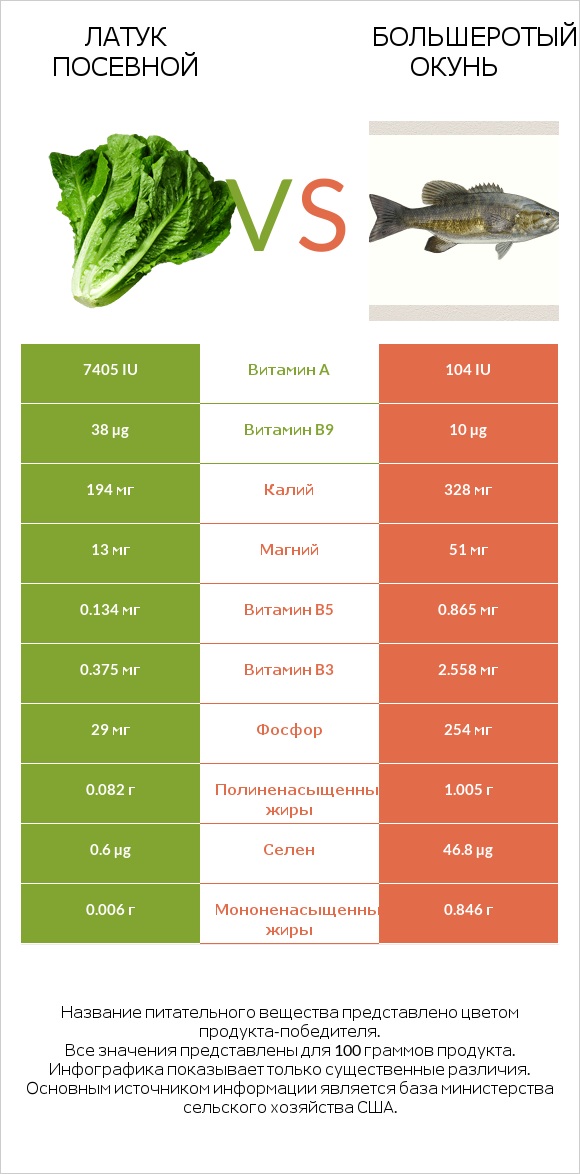 Латук посевной vs Большеротый окунь infographic