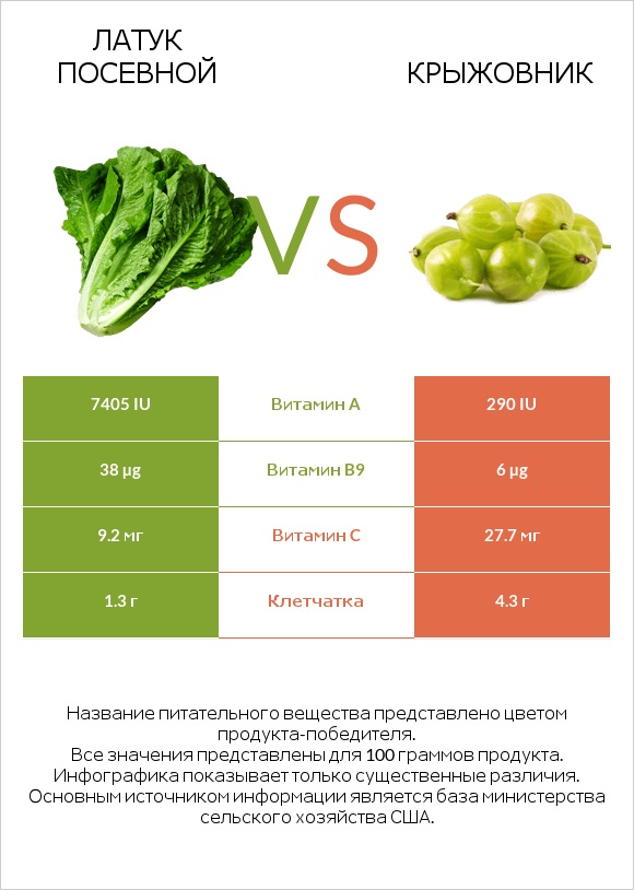 Латук посевной vs Крыжовник infographic