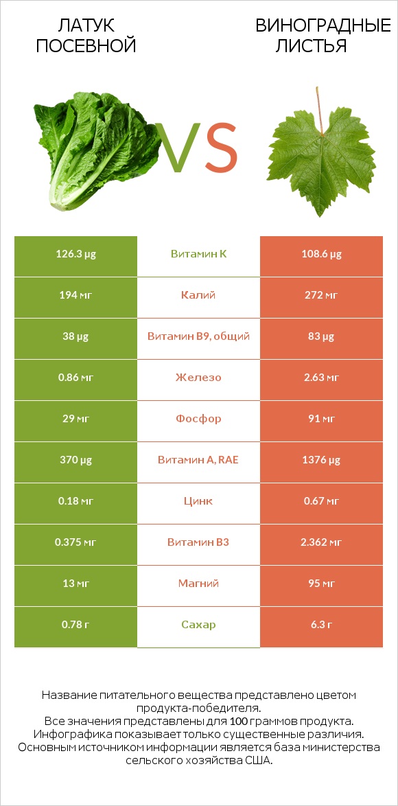 Латук посевной vs Виноградные листья infographic