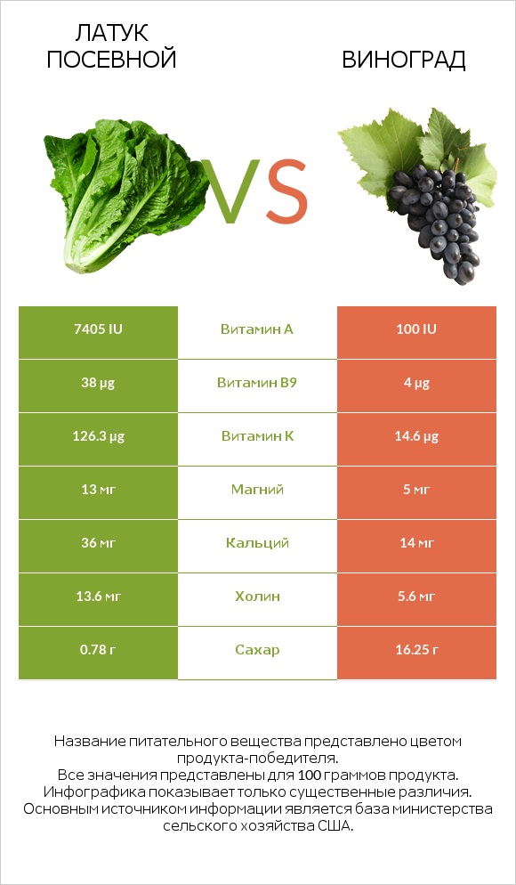 Латук посевной vs Виноград infographic