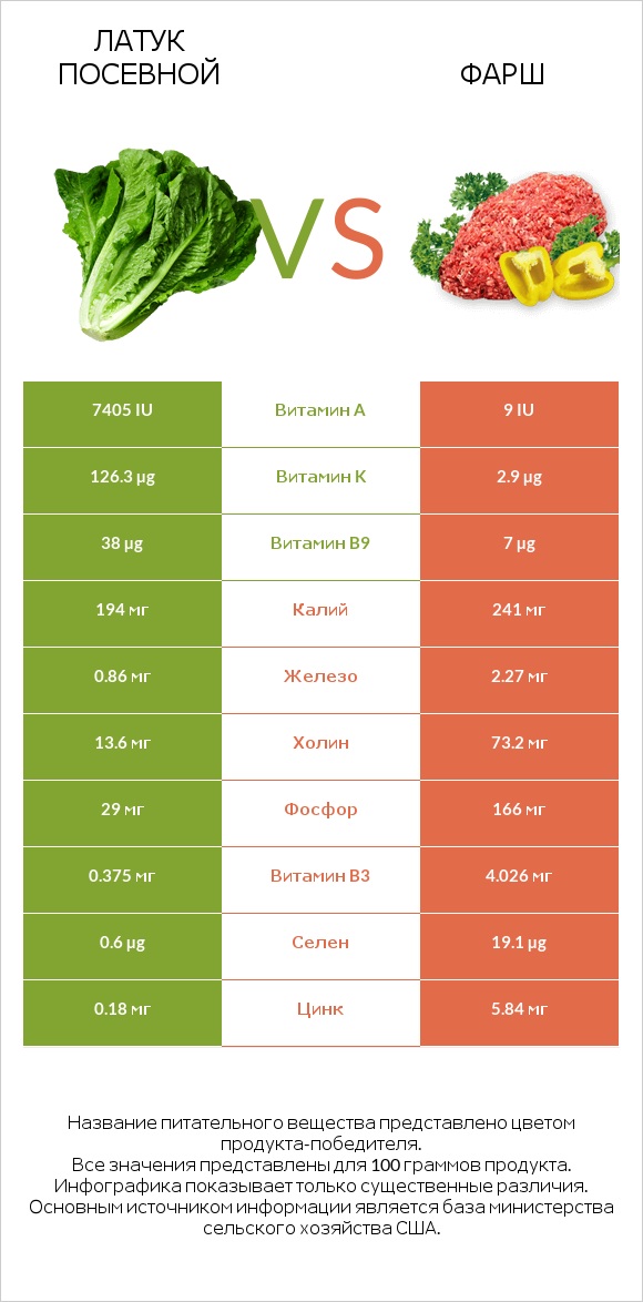 Латук посевной vs Фарш infographic