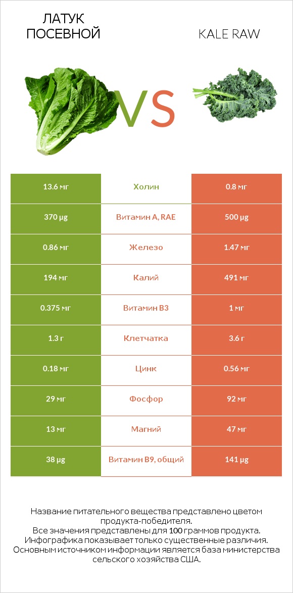 Латук посевной vs Kale raw infographic