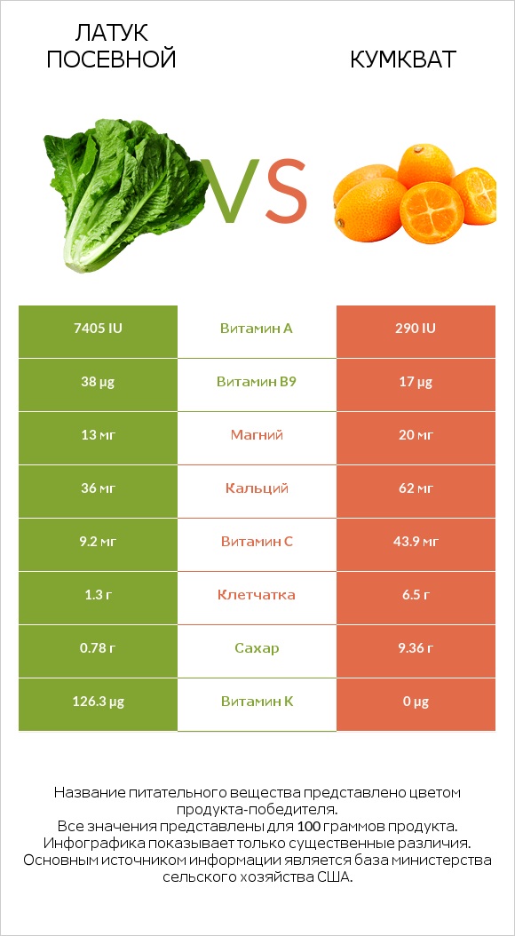 Латук посевной vs Кумкват infographic