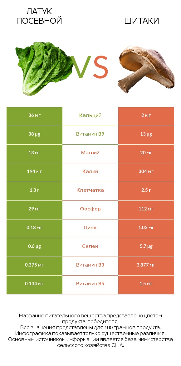 Латук посевной vs Шитаки infographic