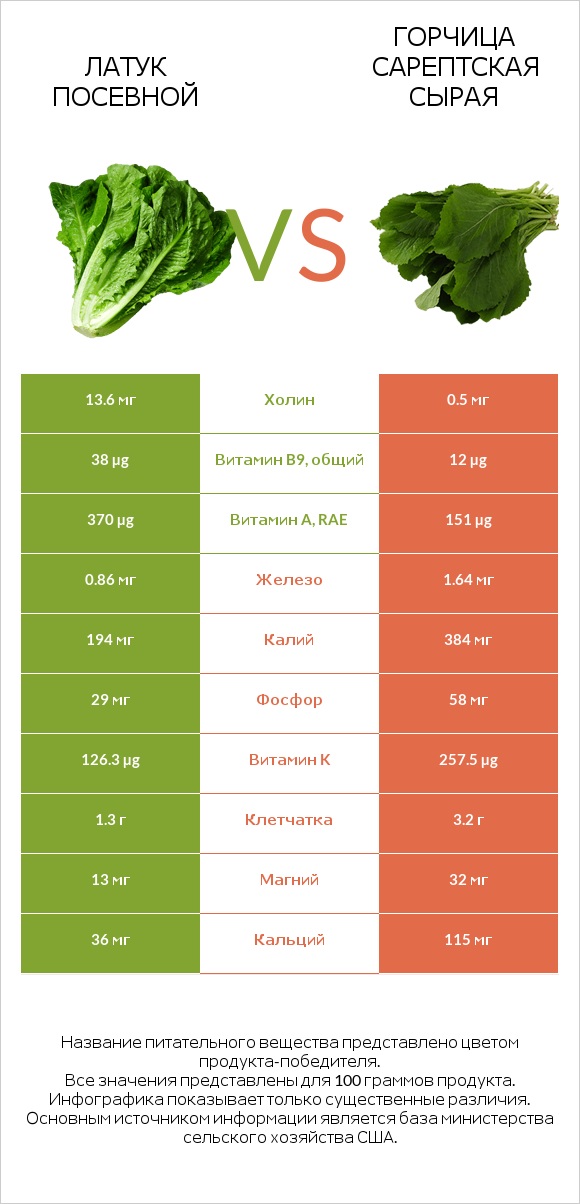 Латук посевной vs Горчица сарептская сырая infographic