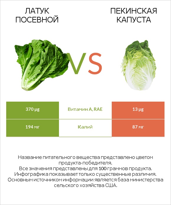 Латук посевной vs Пекинская капуста infographic