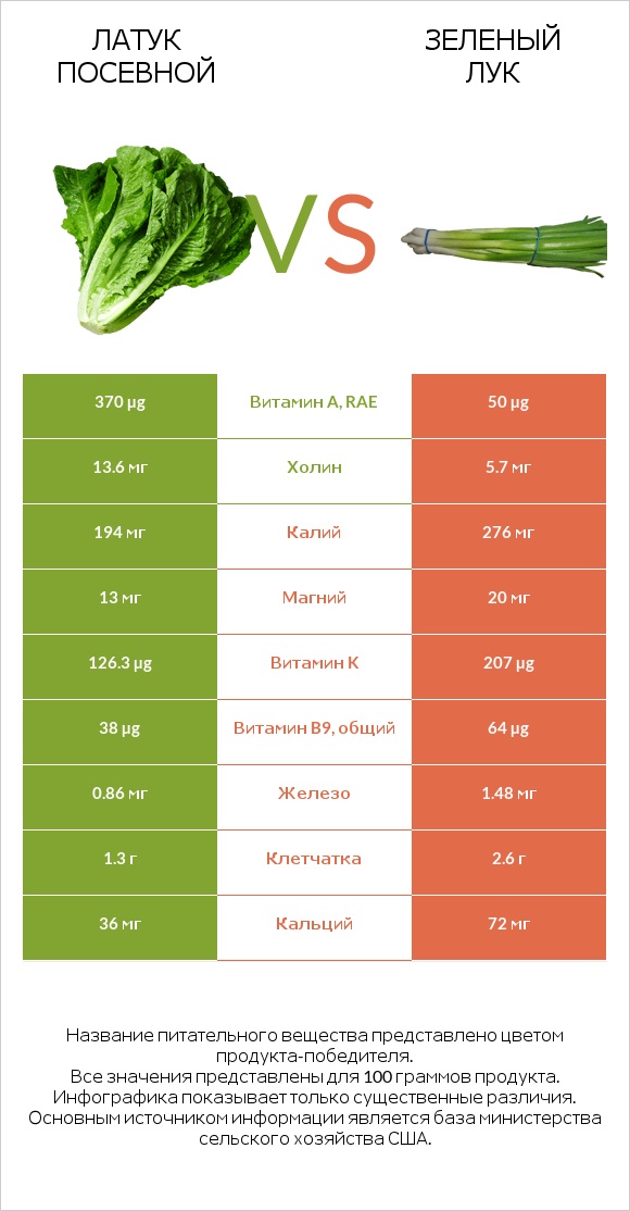 Латук посевной vs Зеленый лук infographic