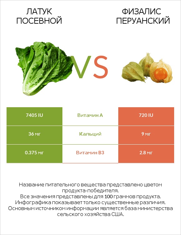 Латук посевной vs Физалис перуанский infographic