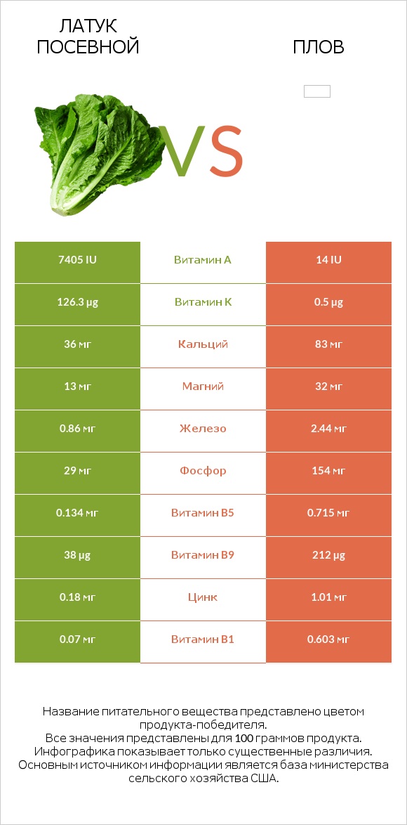 Латук посевной vs Плов infographic