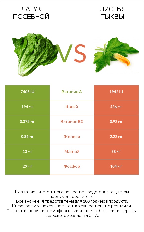 Латук посевной vs Листья тыквы infographic