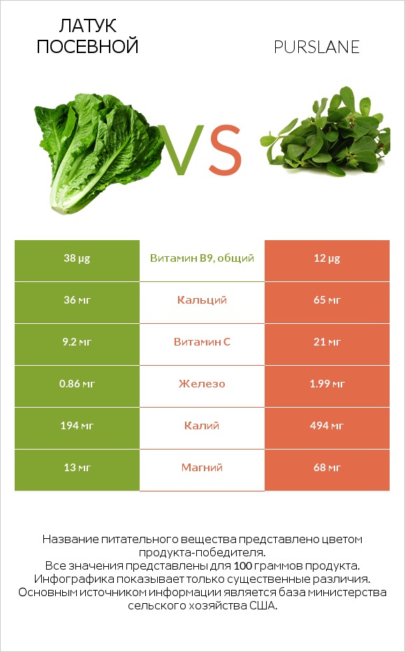 Латук посевной vs Портулак огородный infographic