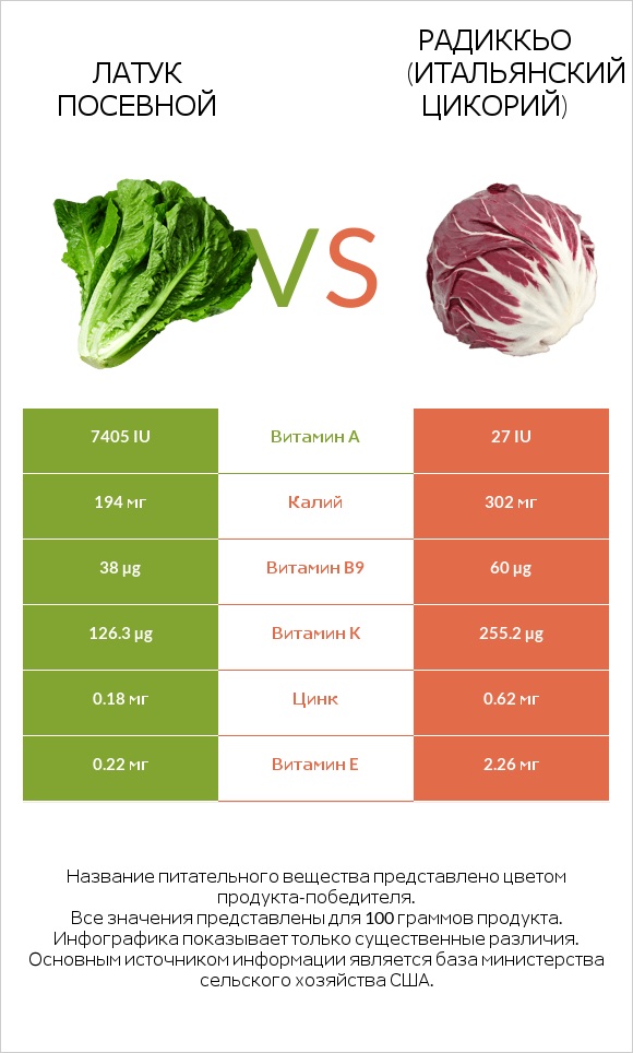 Латук посевной vs Радиккьо (итальянский цикорий) infographic