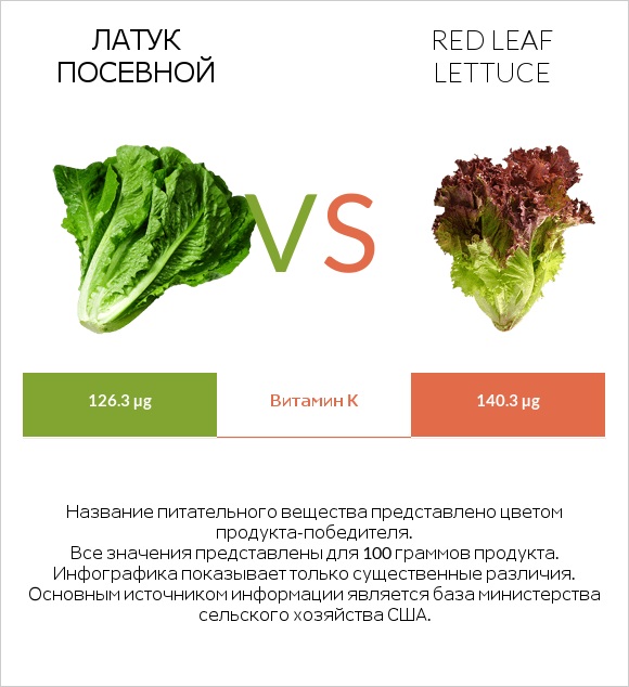 Латук посевной vs Red leaf lettuce infographic