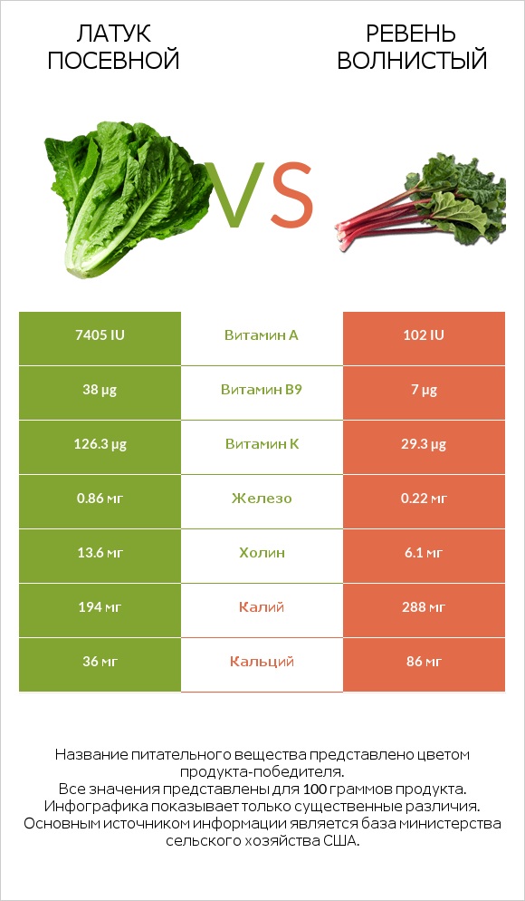 Латук посевной vs Ревень волнистый infographic