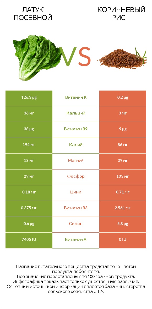 Латук посевной vs Коричневый рис infographic