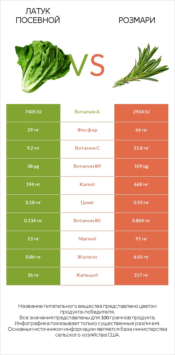 Латук посевной vs Розмари infographic