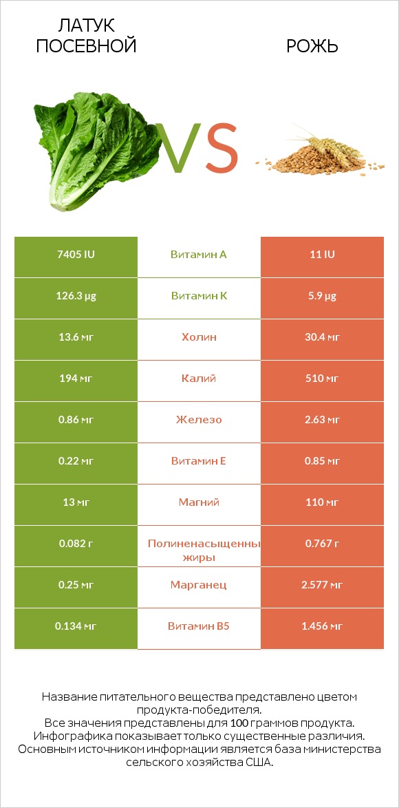 Латук посевной vs Рожь infographic