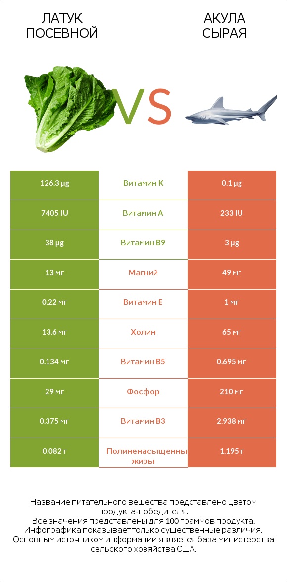 Латук посевной vs Акула сырая infographic