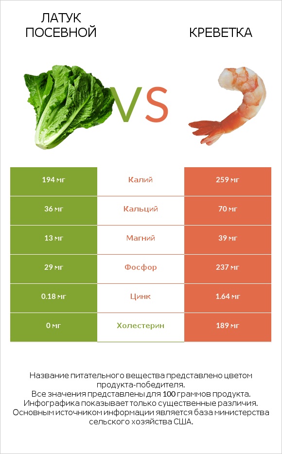 Латук посевной vs Креветка infographic