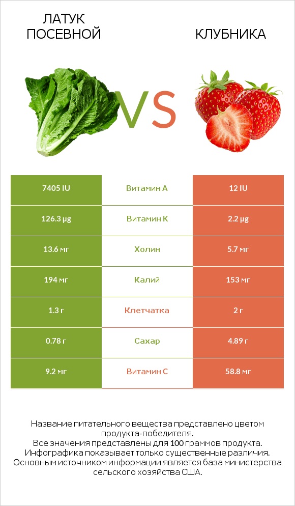 Латук посевной vs Клубника infographic