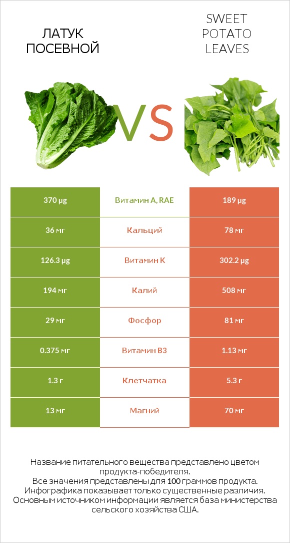 Латук посевной vs Листья сладкого картофеля infographic