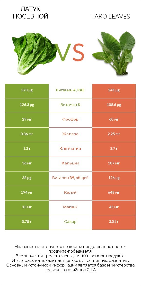 Латук посевной vs Листья Таро infographic