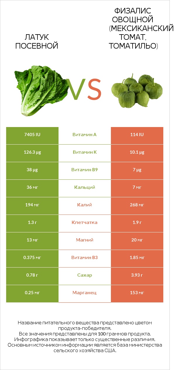 Латук посевной vs Физалис овощной (мексиканский томат, томатильо) infographic