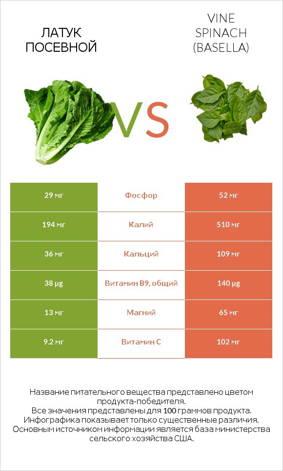 Латук посевной vs Базелла белая infographic