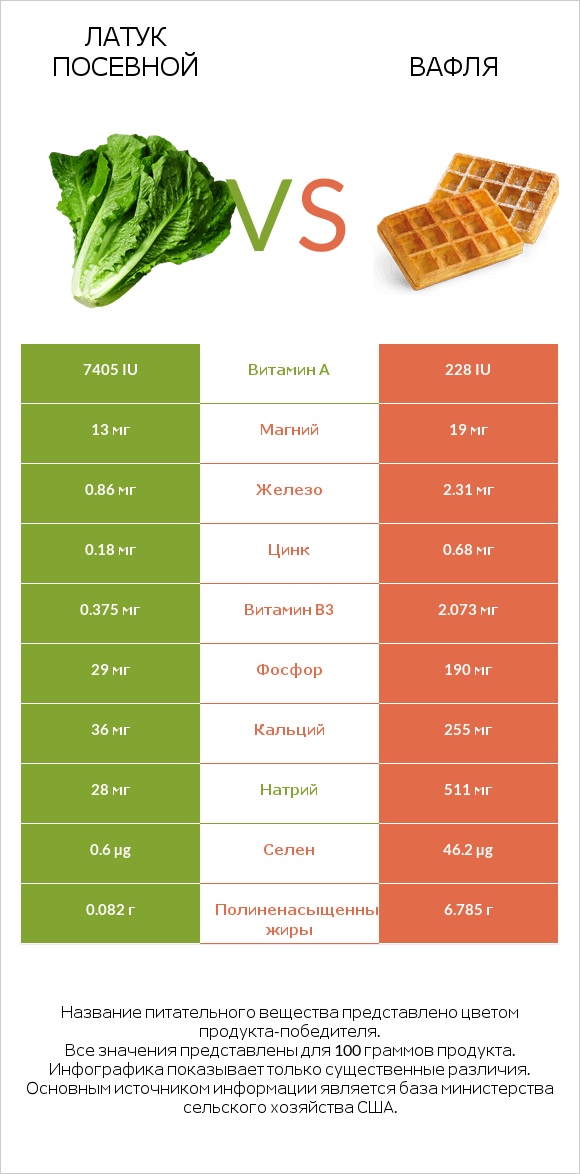 Латук посевной vs Вафля infographic