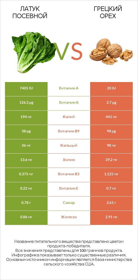 Латук посевной vs Грецкий орех infographic