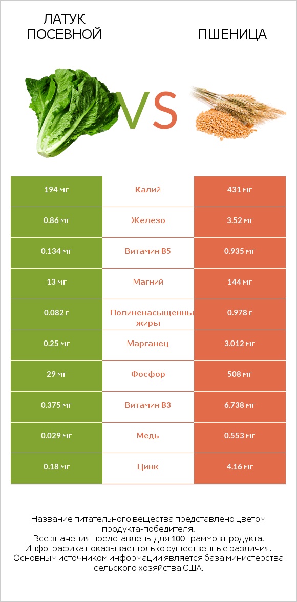 Латук посевной vs Пшеница infographic
