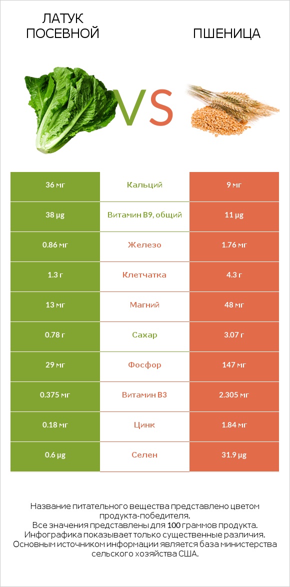 Латук посевной vs Пшеница infographic