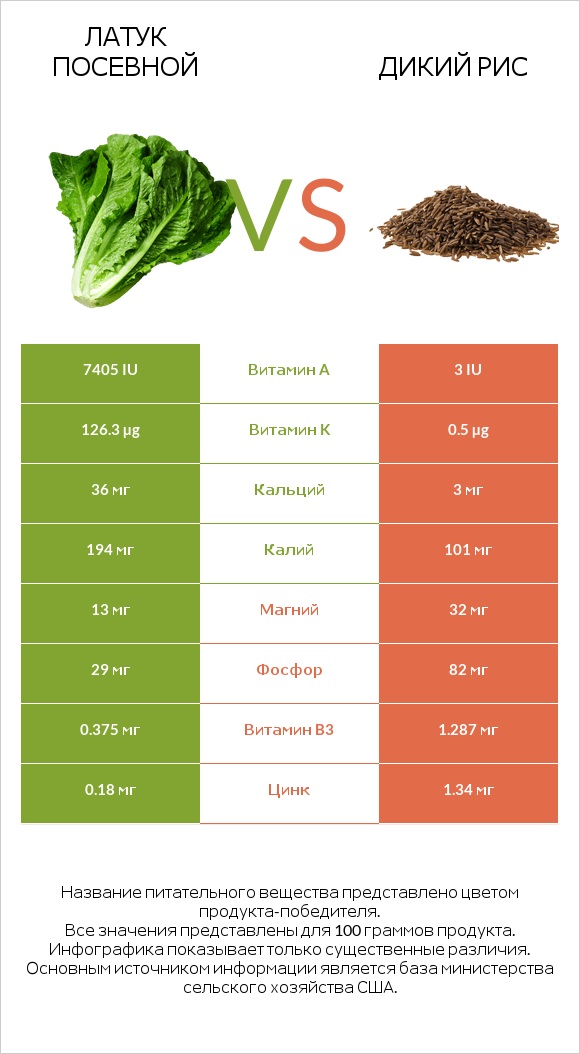 Латук посевной vs Дикий рис infographic