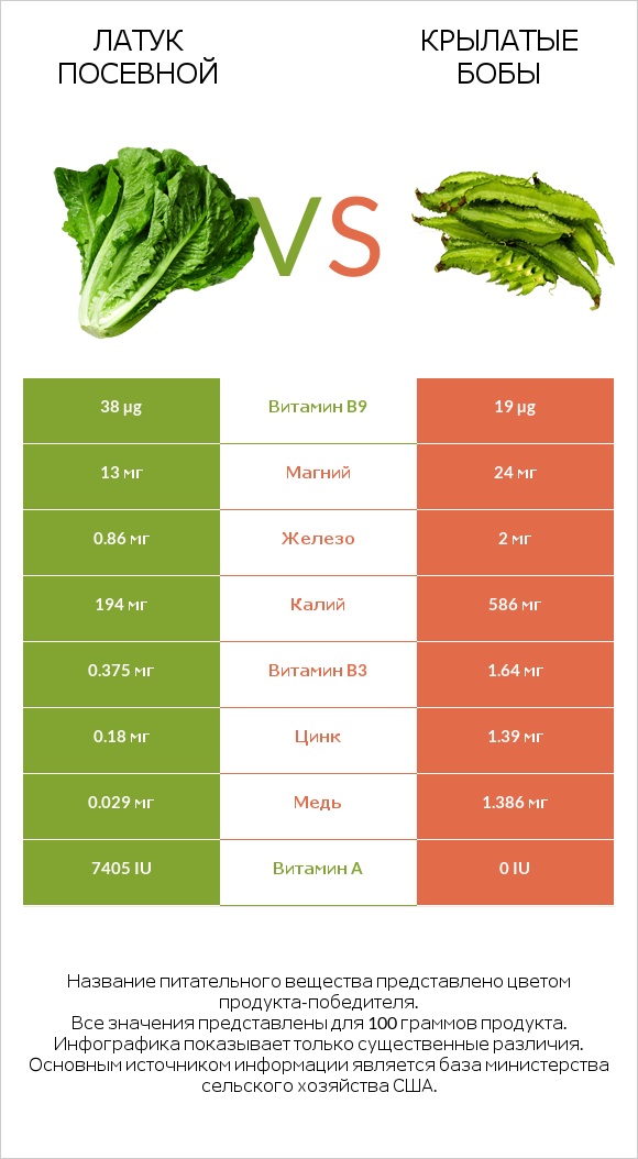 Латук посевной vs Крылатые бобы infographic