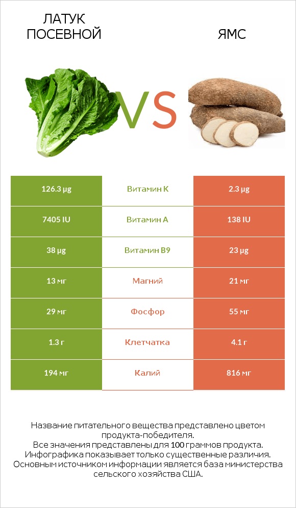 Латук посевной vs Ямс infographic