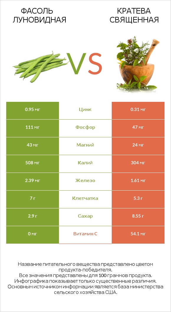 Фасоль луновидная vs Кратева священная infographic