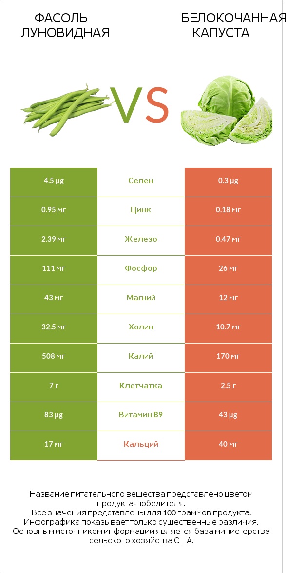 Фасоль луновидная vs Белокочанная капуста infographic