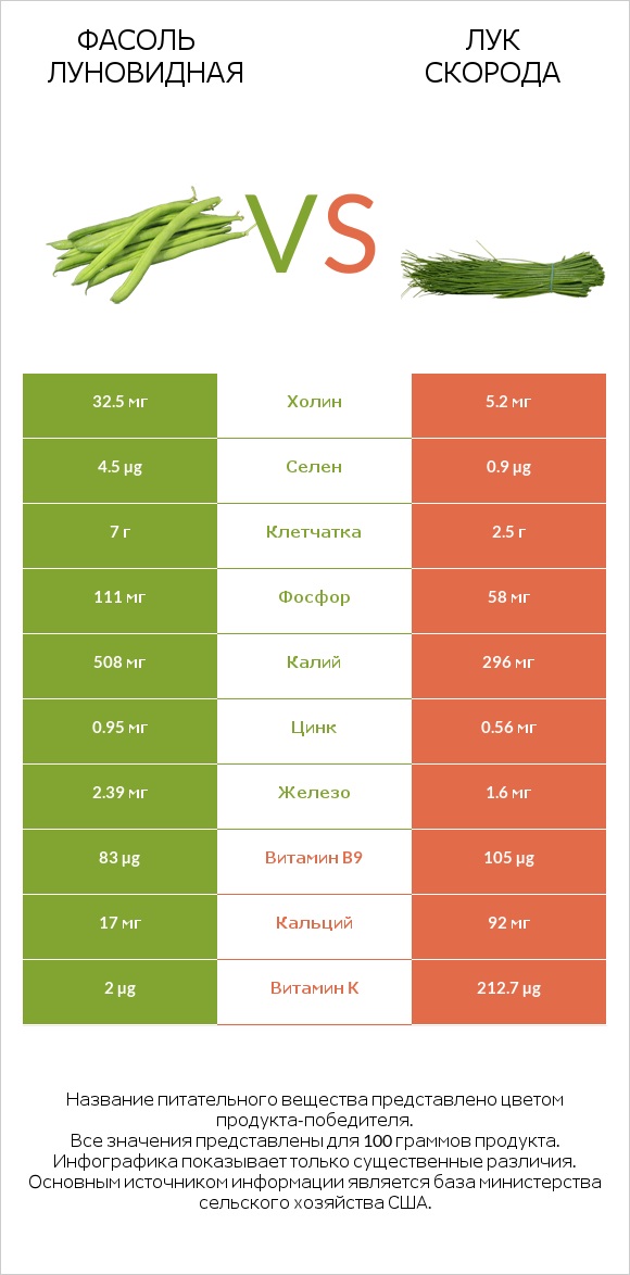 Фасоль луновидная vs Лук скорода infographic