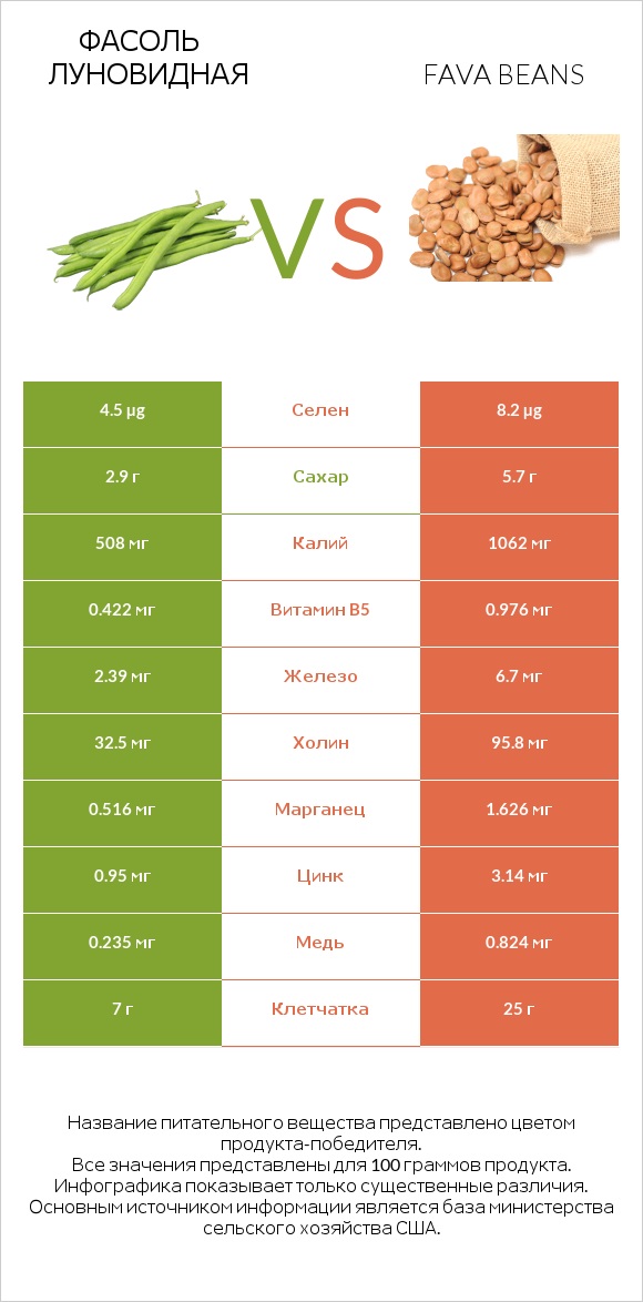 Фасоль луновидная vs Fava beans infographic