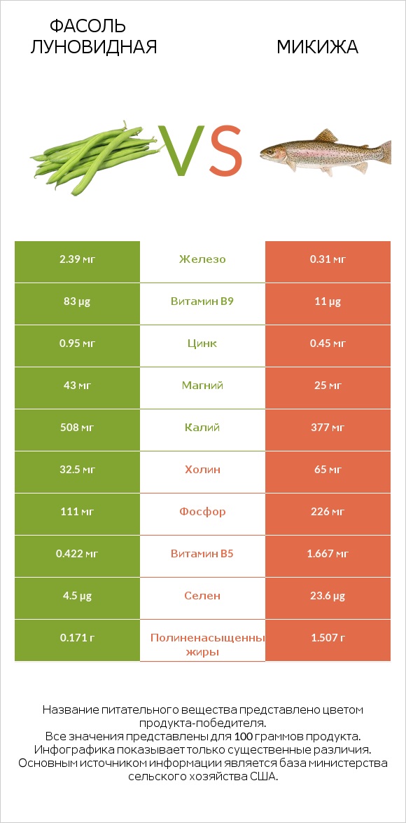 Фасоль луновидная vs Микижа infographic