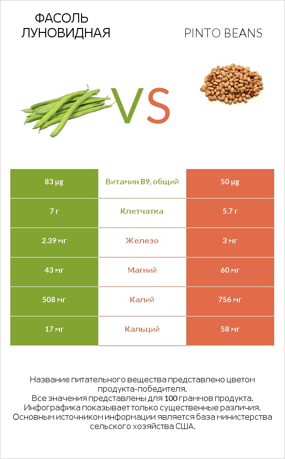 Фасоль луновидная vs Pinto beans infographic