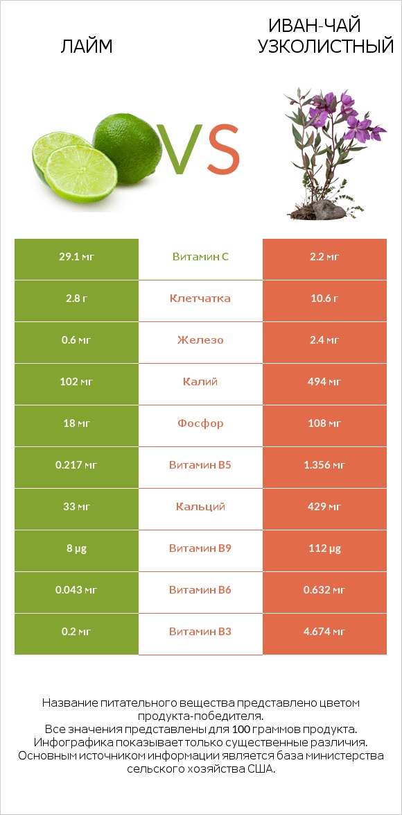 Лайм vs Иван-чай узколистный infographic