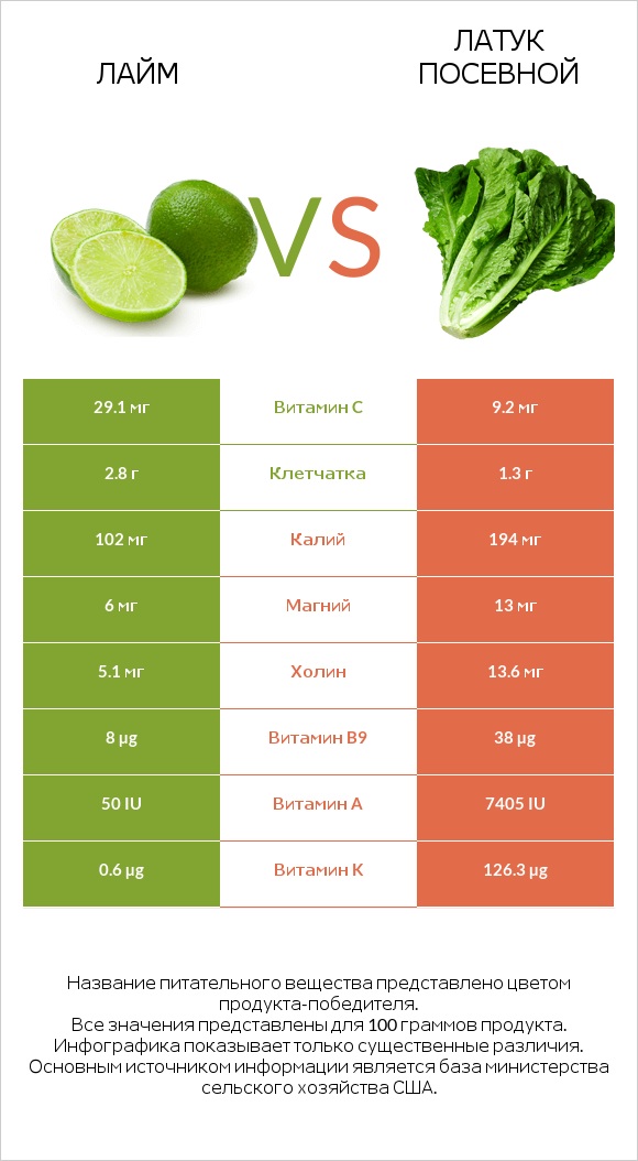 Лайм vs Латук посевной infographic