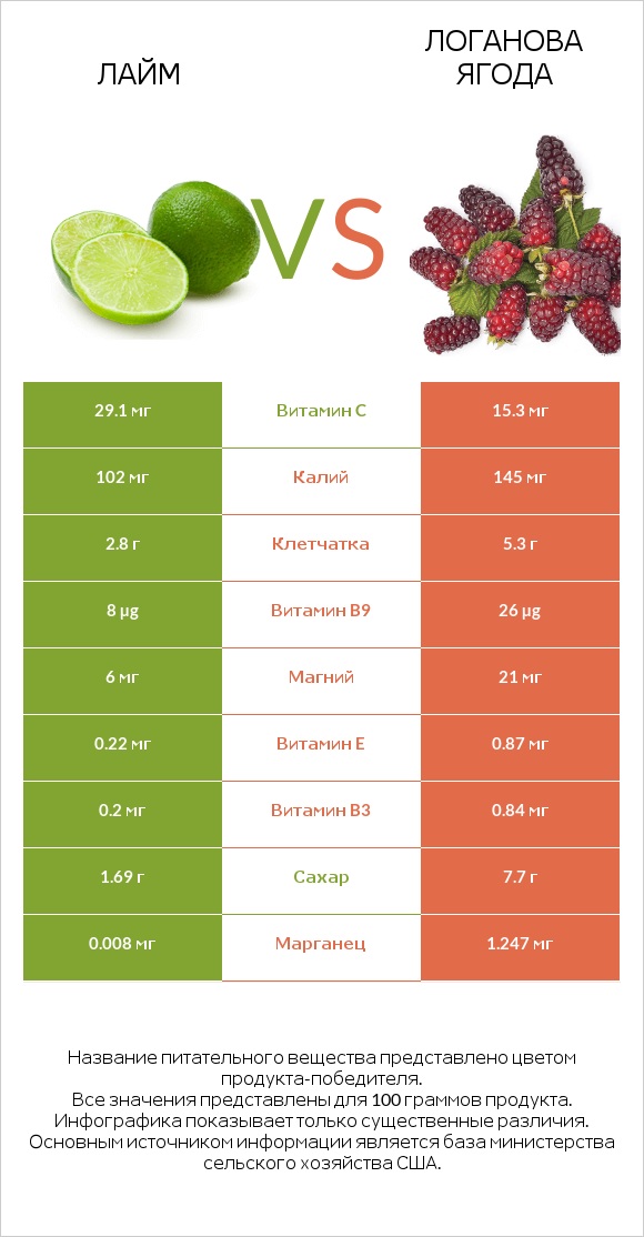 Лайм vs Логанова ягода infographic